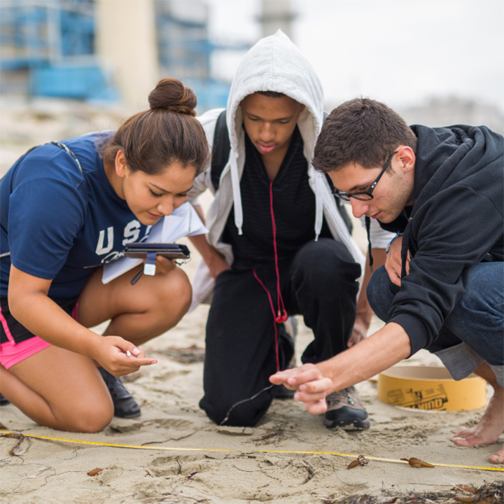 three students at the beach doing research