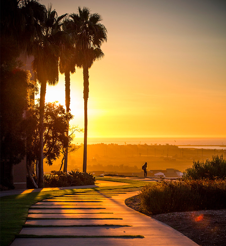 Person at the bluff by the setting sun