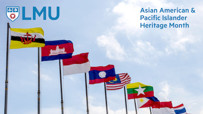 Flags Zoom Background API